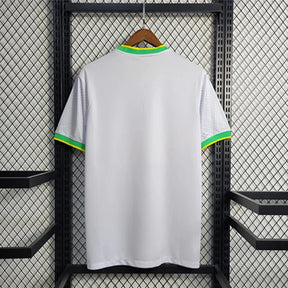 Maillot Brésil Concept 2024/2025