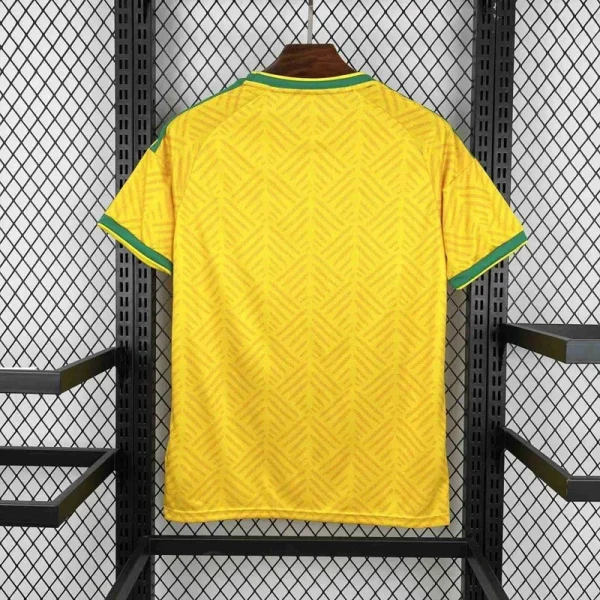 Maillot Afrique du sud Domicile 2026/2027