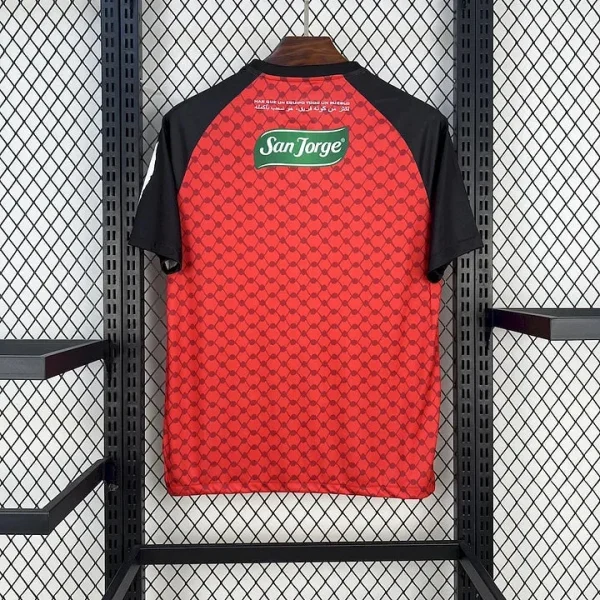 Maillot Palestine Concept 2025/2026