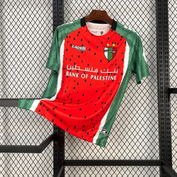 Maillot Palestine Concept 2025/2026