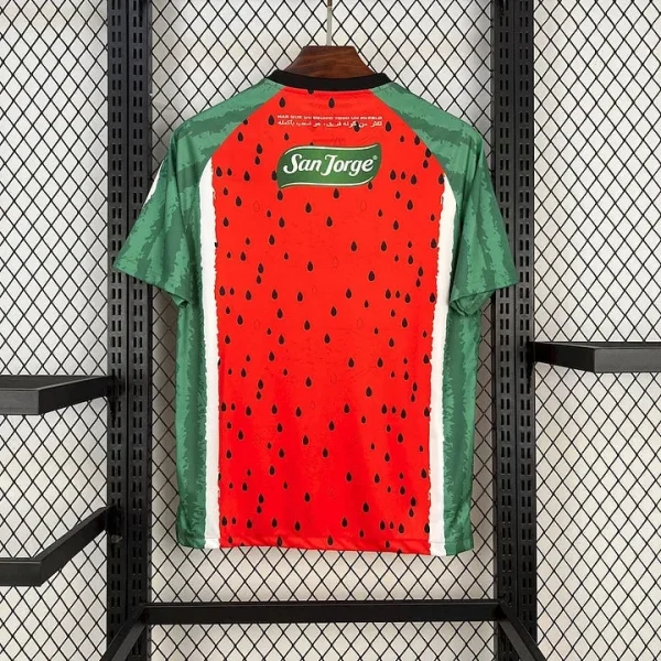 Maillot Palestine Concept 2025/2026